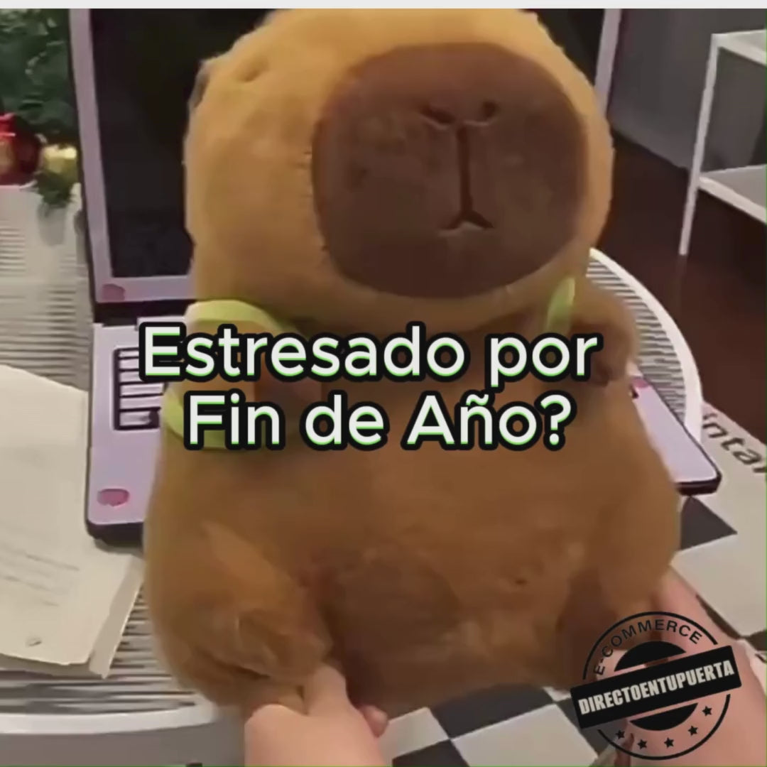 Peluche-Capibara-que-alegrará-tu-vida! 🧸 ULTIMAS UNIDADES!!